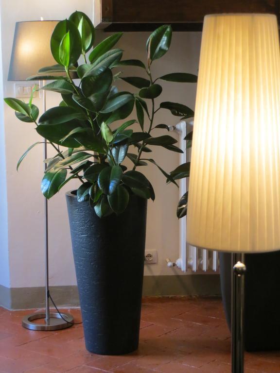Toscanelli Residenza D'epoca 3* Firenze